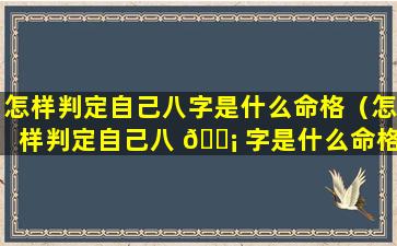 怎样判定自己八字是什么命格（怎样判定自己八 🐡 字是什么命格的人）